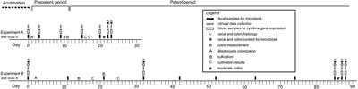 Blastocystis Colonization Alters the Gut Microbiome and, in Some Cases, Promotes Faster Recovery From Induced Colitis